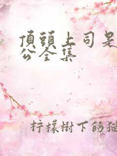 顶头上司是我老公全集