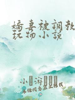 娇妻被调教沦为玩物小说
