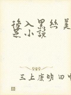 后入黑丝美腿玉足小说