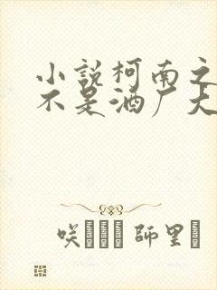 小说柯南之我真不是酒厂大佬txt