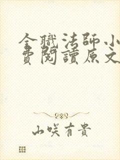 全职法师小说免费阅读原文