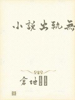 小说出轨无三观