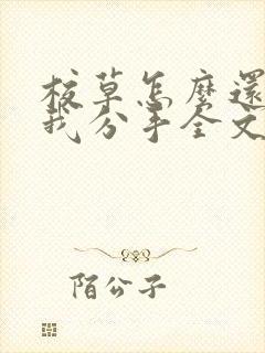 校草怎么还不和我分手全文免费阅读