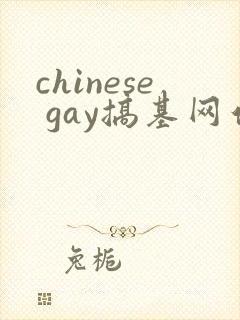 chinese gay搞基网站