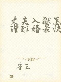 丈夫入狱怎么办理离婚最快的方法