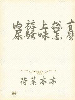 内裤上总有一股尿骚味怎么回事