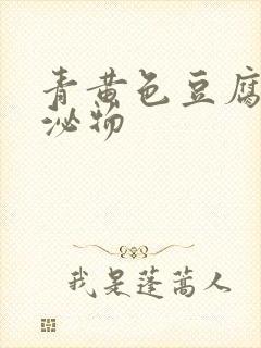 青黄色豆腐渣分泌物