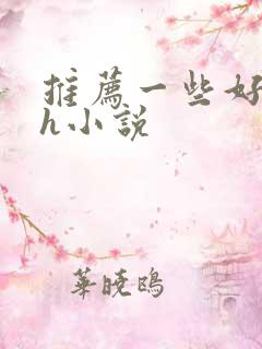 推荐一些好看的h小说