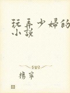 玩弄少妇的悲哀小说