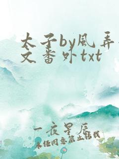 太子by风弄全文番外txt