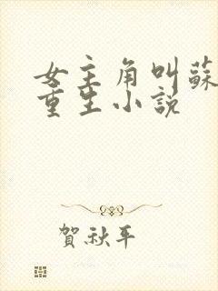 女主角叫苏颜的重生小说