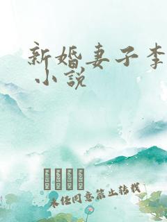 新婚妻子李芷珊 小说