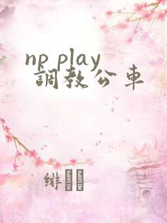 np play 调教公车