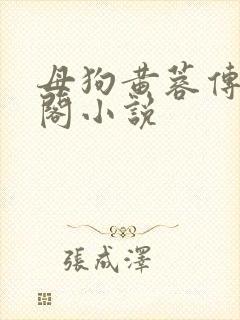 母狗黄蓉传笔趣阁小说