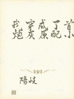 我穿成了首辅的炮灰原配小说