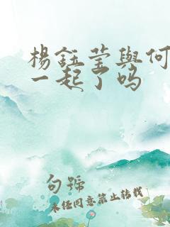 杨钰莹与何炅在一起了吗