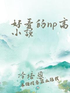 好看的np高h小说
