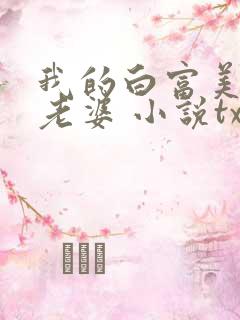 我的白富美总裁老婆 小说txt