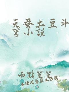 天蚕土豆斗破苍穹小说