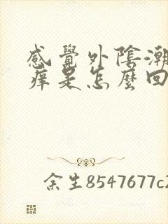 感觉外阴潮湿瘙痒是怎么回事