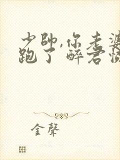 少帅,你老婆又跑了 醉君怜