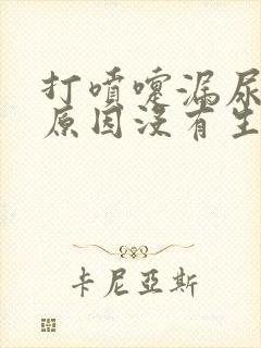 打喷嚏漏尿什么原因没有生孩子