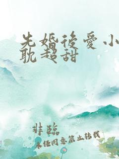 先婚后爱小说原耽超甜