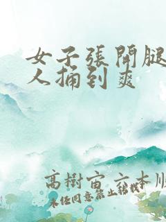 女子张开腿让男人捅到爽