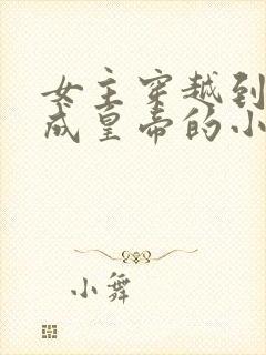 女主穿越到古代成皇帝的小说