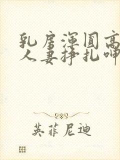 乳房浑圆高耸的人妻挣扎呻吟小说