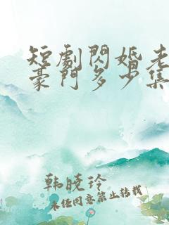 短剧闪婚老公是豪门多少集