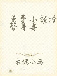 免费小说冷少的替身妻