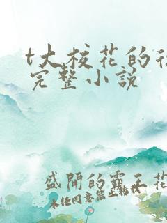 t大校花的复仇完整小说