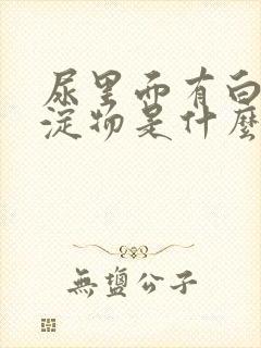 尿里面有白色沉淀物是什么原因