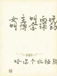 女主叫向晚男主叫傅念琛的小说