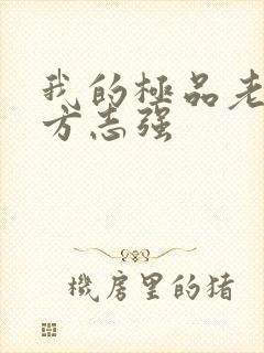 我的极品老婆,方志强