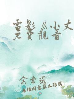 电影《小丈夫》免费观看