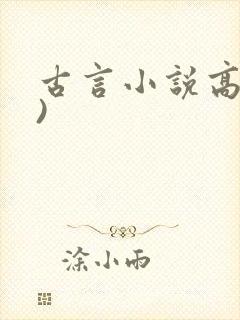 古言小说高(h)