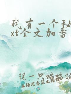 我有一个秘密txt全文加番外