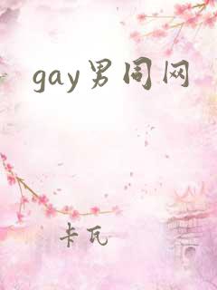 gay男同网