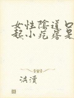 女性阴道口外面起小疙瘩是怎么回事