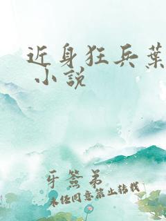 近身狂兵叶军浪 小说