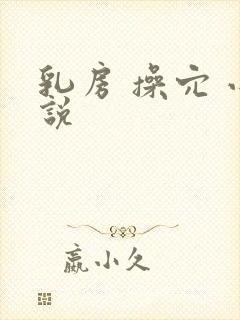 乳房 操穴 小说