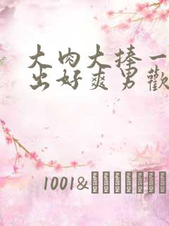 大肉大捧一进一出好爽男欢男爱