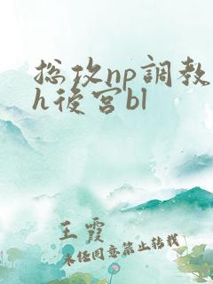 总攻np调教高h后宫bl