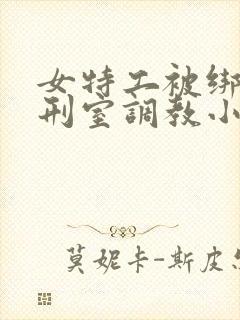 女特工被绑进乳刑室调教小说