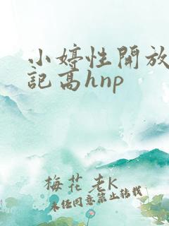 小婷性开放肉日记高hnp