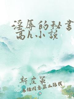 淫辱的秘书调教 高h小说