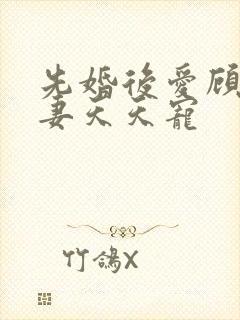 先婚后爱顾少娇妻天天宠