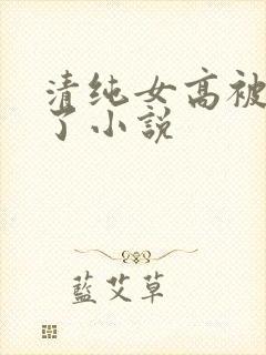 清纯女高被日透了小说
